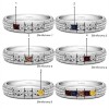0.36 Ct. Five Birthstone Channel Set Men's Wedding Ring with Braided Shank in White Gold